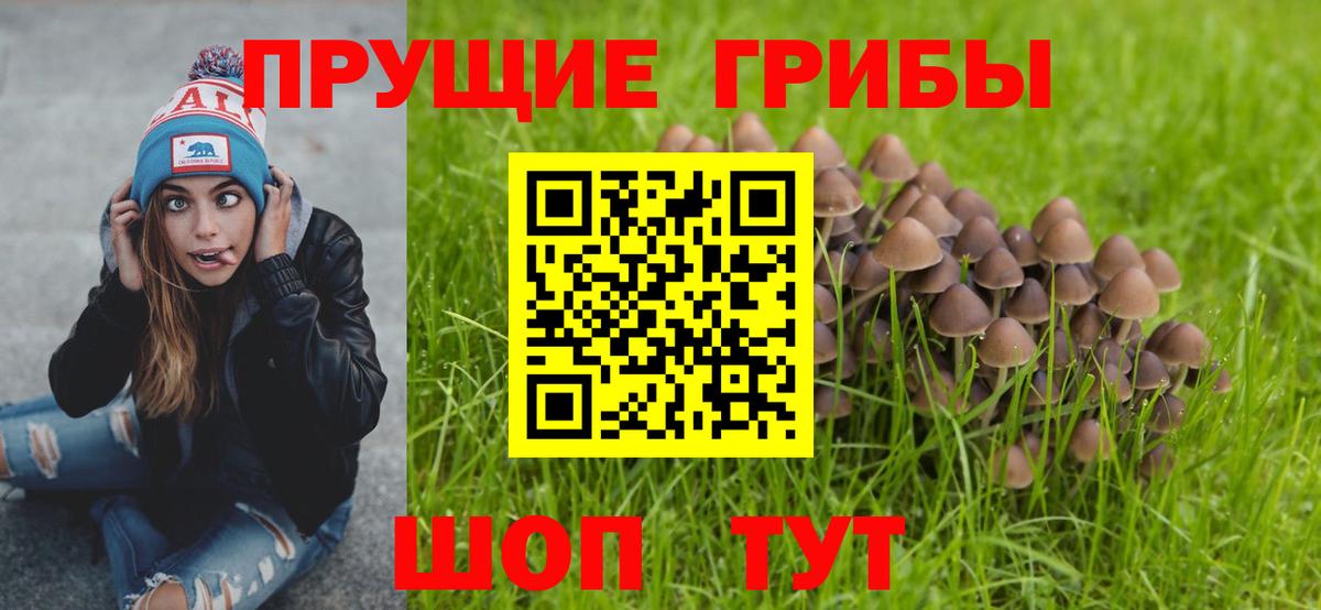 Псилоцибиновые грибы прущие грибы Ипатово